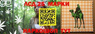 трава Нальчик