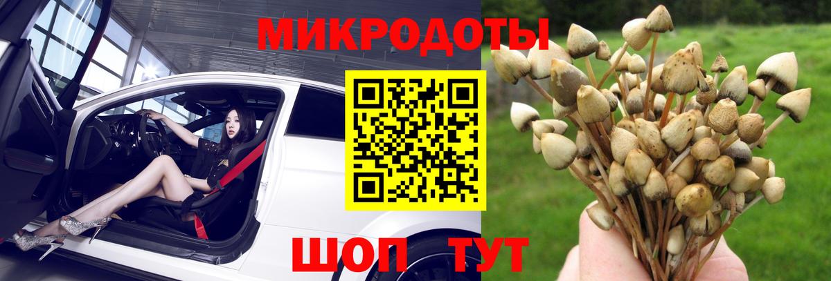 Юрга  Псилоцибиновые грибы ЛСД  Псилоцибиновые грибы Cubensis  Вход с VPN 